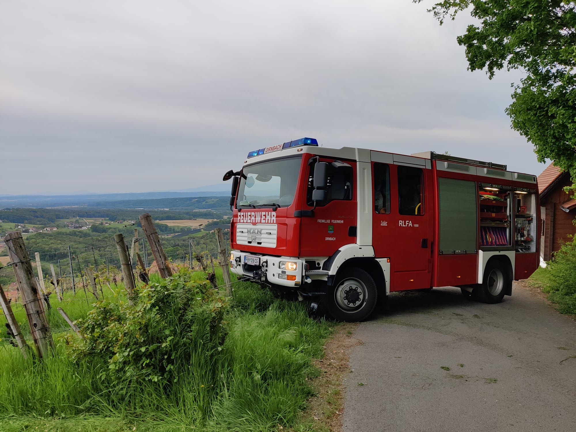 RLFA 1000