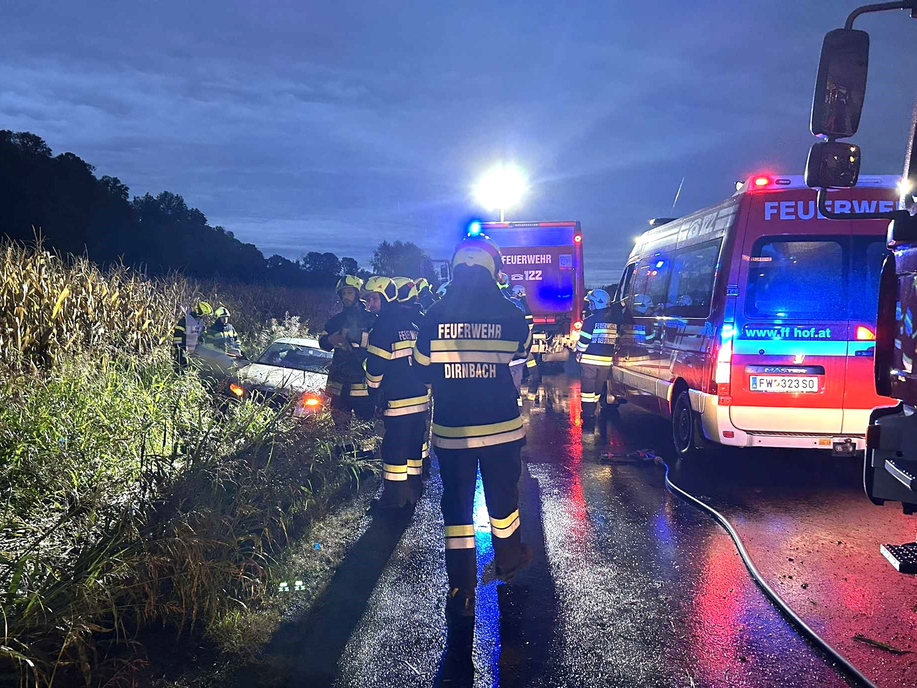 T10 – Verkehrsunfall nach Wildwechsel