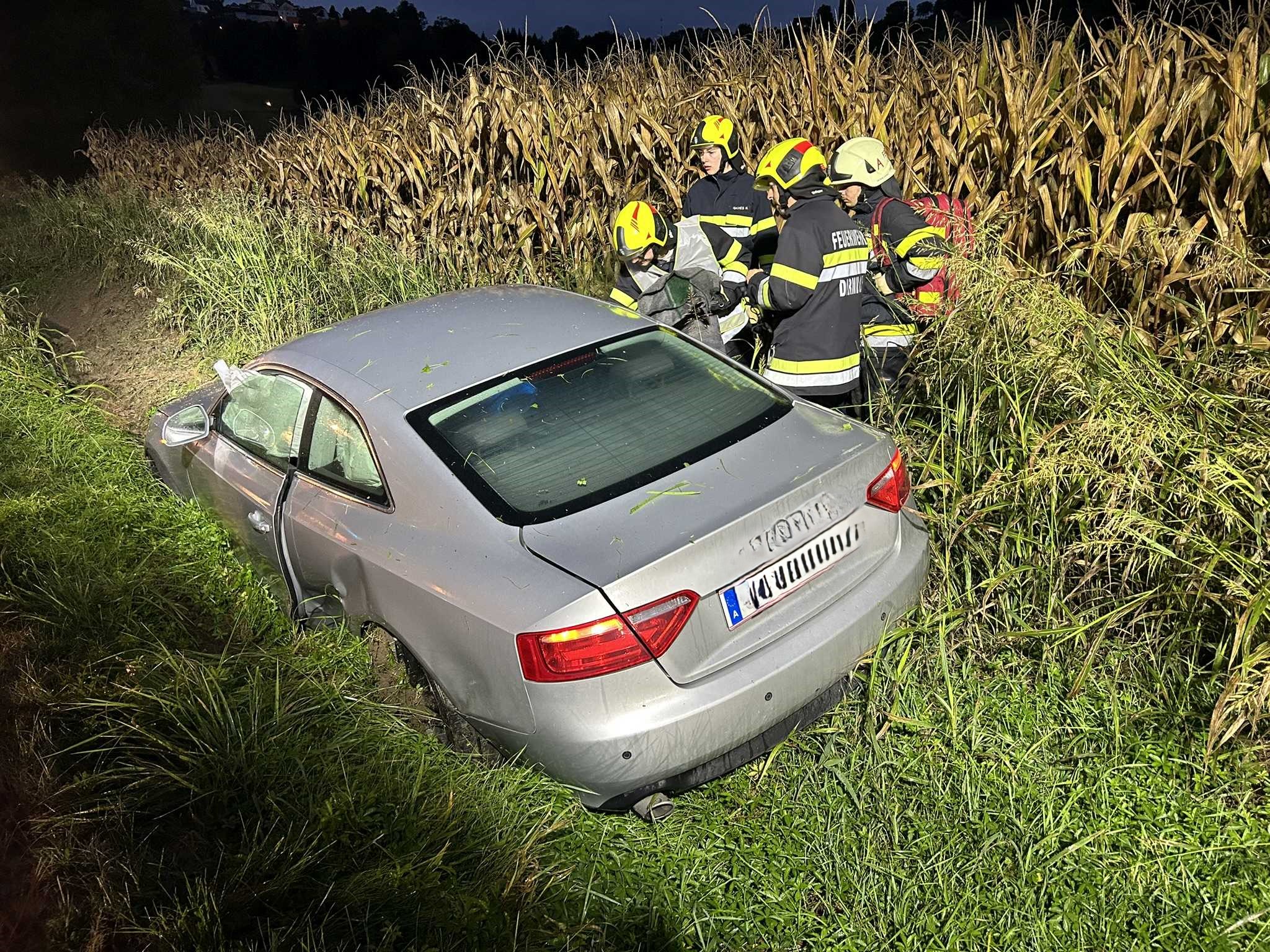 T10 – Verkehrsunfall nach Wildwechsel