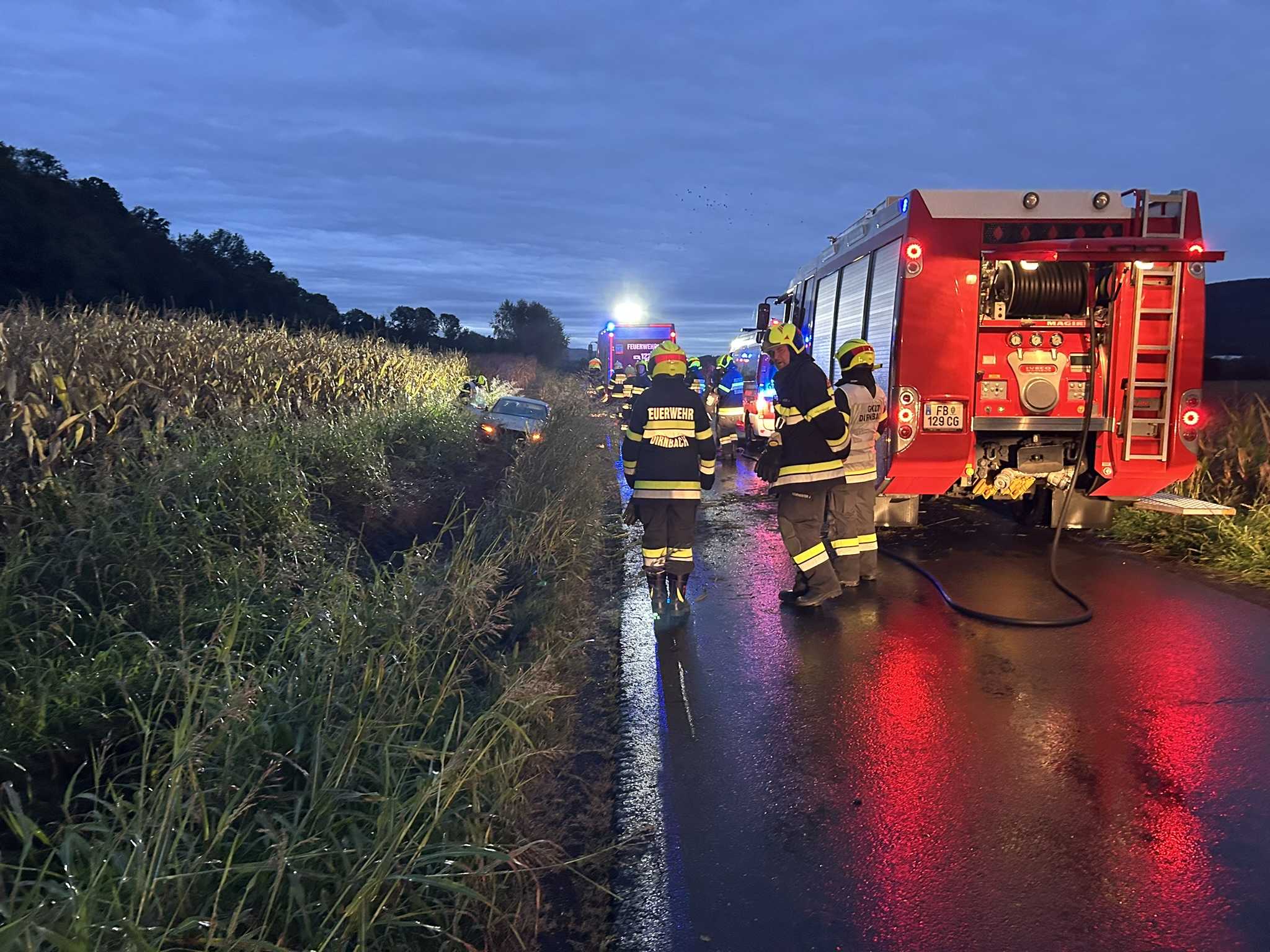 T10 – Verkehrsunfall nach Wildwechsel